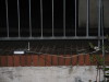 img_1368